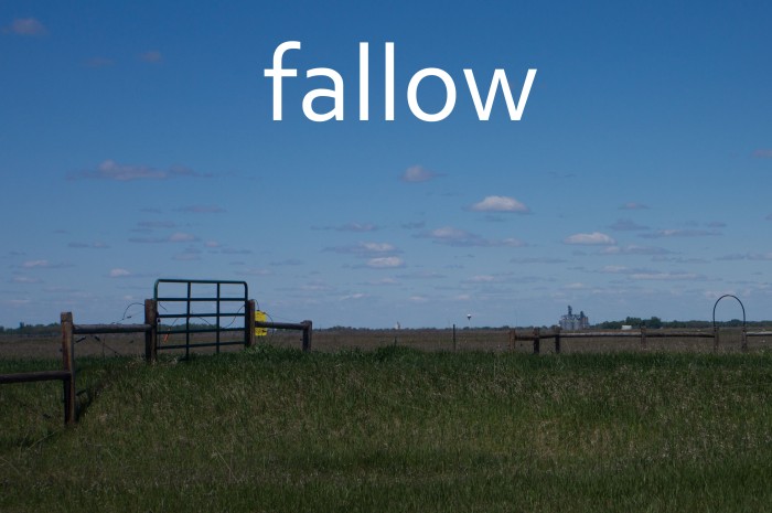 Fallow-2-fallow-20160720
